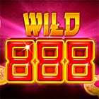 Wild 888