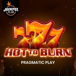 Hot to Burn screenshot